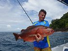 chnapal - cubera snapper 87 cm uloveny na popp