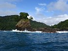 skalnate pobrezi Pacifiku - stanoviste chnapalu
