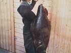 Hestoysund - halibut 110 cm a 15 kg