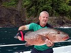 chnapal - cubera snapper 74 cm uloveny na jerk