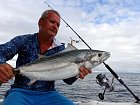 tunak albacore 73 cm uloveny na jig