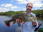 cichlida ocasooka 65 cm ulovena na musku-streamer