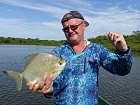 plodozrava pirana - palometa