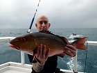 chnapal - red snapper 68 cm uloveny na wobbler