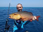 chnapal - red snapper 69 cm uloveny na popp