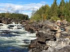 muskareni v pereji Drogsjoforsen