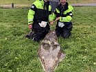 halibut 171 cm, 1. rijen v Larseng