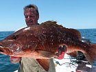 chnapal - cubera snapper, brezen na pobrezi poloostrova Nicoya