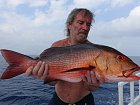 chnapal - red snapper  69 cm uloveny na popp