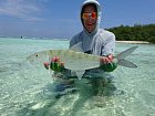 albula lisci - bonefish 66 cm ulovena na musku