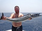 Wahoo 115 cm na trolling