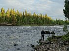 vecerni rybareni pod pereji Rastrandsforsen