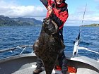 Borek - halibut 133 cm (25 kg)