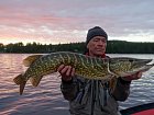 metrovka z prutocne laguny na rece Vindelalven pod pereji Torvikforsen