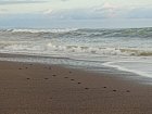 rezervace morskych zelv Camaronal - cerstve vylihle zelvy na plazi