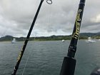 lode Boston Whaler/Contender, navijaky Daiwa, pruty Hearty Rise