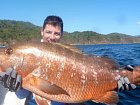 chnapal - cubera snapper uloveny v unoru