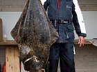 halibut 144 cm, cerven u Skrolsvik - Senja