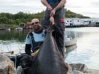 Halibut z pobřeží ostrova Senja (163 cm,  49 kg)