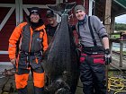 Larseng - halibut 165 cm, 60 kg