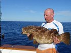 kanic malabarsky 99 cm, Epinephelus malabaricus