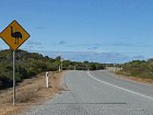 pri cestovani po Australii pozor na zver, treba na emu