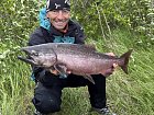 losos cavyca-king salmon 97 cm uloveny na privlac-jikry