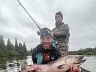 losos cavyca-king salmon