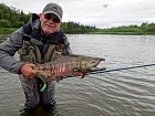 losos keta - chum salmon