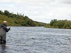 zdolavani lososa na rece Alagnak, zari
