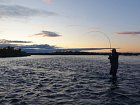 vecerni zdolavani lososa, zari na Aljasce