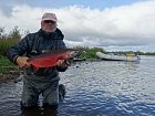 losos kisuc - coho salmon uloveny na streamer