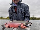 losos kisuc - coho salmon uloveny na streamer