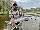 steelhead uloveny na streamer na dolnim toku reky v zari