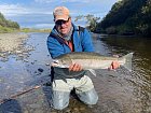 steelhead uloveny na kulicku-bead na muskarskem vybaveni