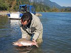 Losos gorbuša (pink salmon)