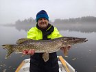 Štika z podzimního Alandu-Nordqvist