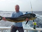 dorado 124 cm ulovene na trolling