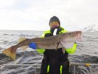 Skrei 105 cm