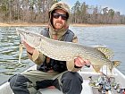 stika 86 cm z Nordqvist