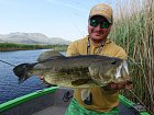largemouth bass 51 cm from Kuti in April, okounek pstruhovy
