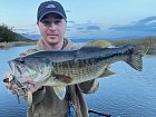 okounek pstruhovy - black bass, rijen na Kuti