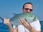 kranas modroploutvy-bluefin uloveny na jerk