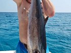 tunak jednobarvy - dogtooth hmotnosti 16,3 kg uloveny na popp