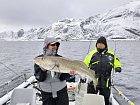 Skrei 110 cm