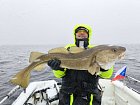 Skrei cca 105 cm