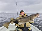 Skrei