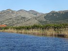 plantaze mandarinek, Kuti v dubnu