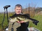 okounek pstruhovy 44 cm uloveny na hladinovy jerk walk the dog delky 10 cm