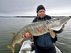 kvetnova metrovka z reviru Nordqvist na souostrovi Aland